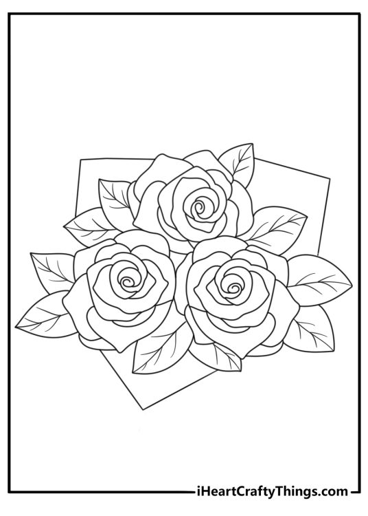 printable coloring picture featuring view from the top onto a bouquet of three roses