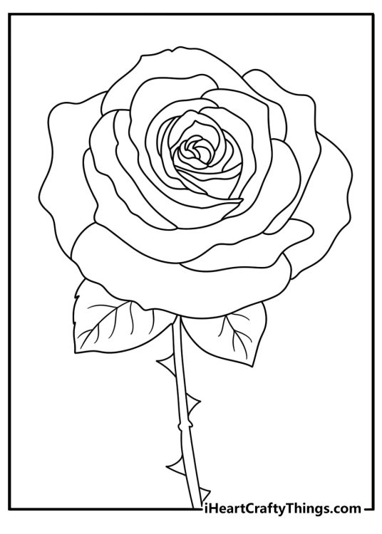printable pdf for children of a single fully bloomed rose with many thorns and two leaves