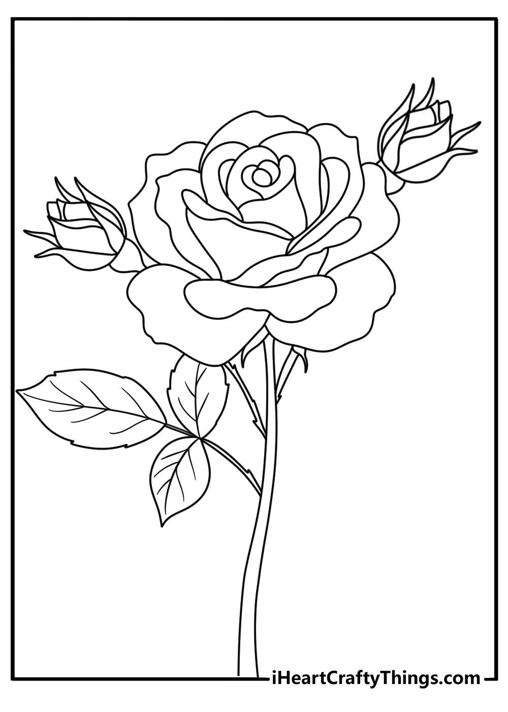printable picture of a rose looking like it is beginning to wilt as its petals fall
