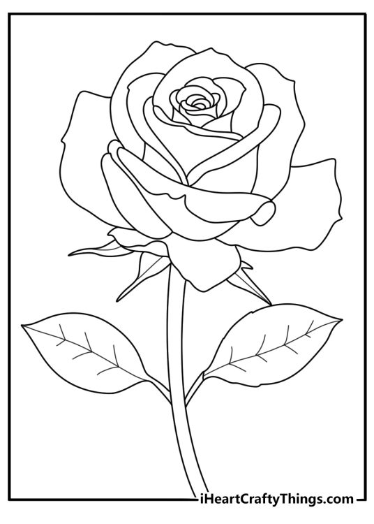 rose coloring page depicting leaves and little swirling shapes coming out of the flower