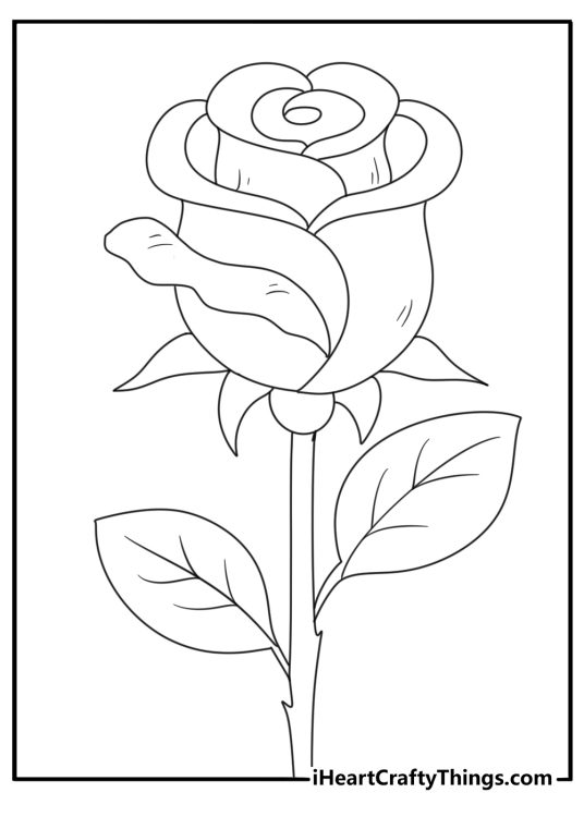 rose coloring sheet with a rosebud opening beside small leaves