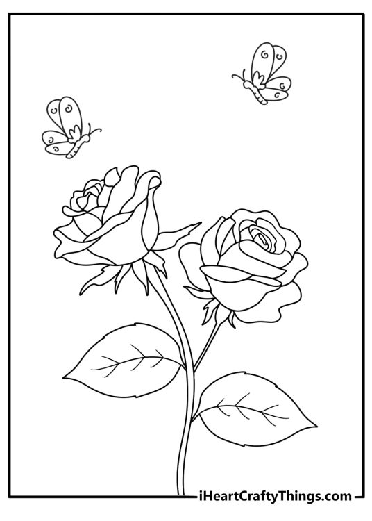rose themed coloring page presenting beautiful butterflies gathering around a rose