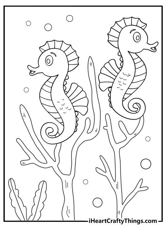 seahorse holding onto coral branch with tail coloring page printable