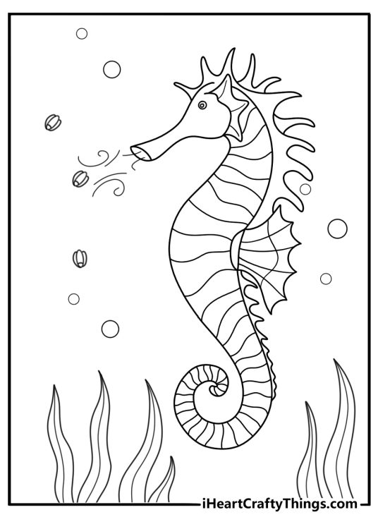 seahorse sipping plankton through long snout easy coloring printable