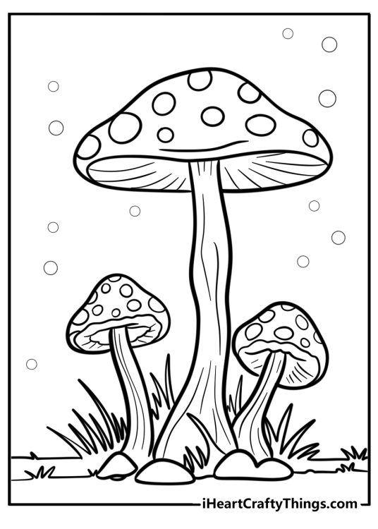 Free coloring page for kids featuring three mushrooms with very thin legs and spotted caps