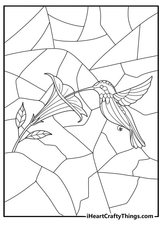 stained glass hummingbird sipping nectar coloring sheet