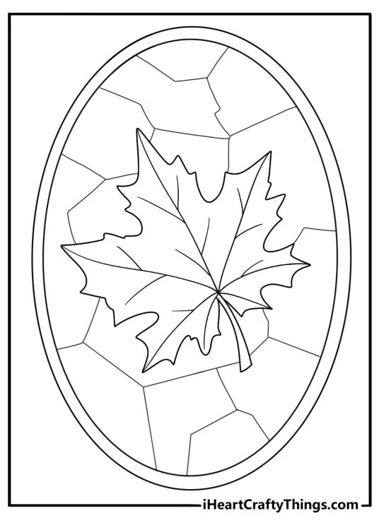 stained glass maple leaf design simple coloring sheet
