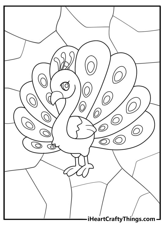 stained glass peacock with large feather display coloring sheet