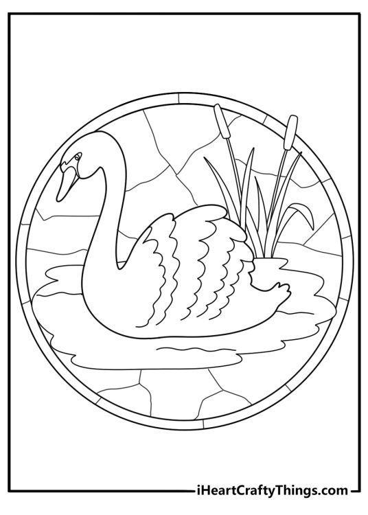 stained glass swan swimming on lake detailed coloring sheet