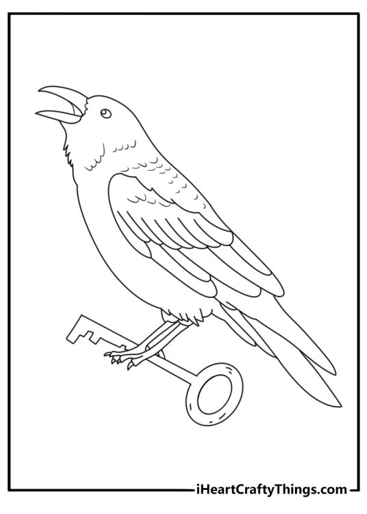 Adult tattoo coloring page with a raven perched on an old key