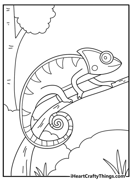 Chameleon on a leaf showing pattern change kawaii jungle printable for kids