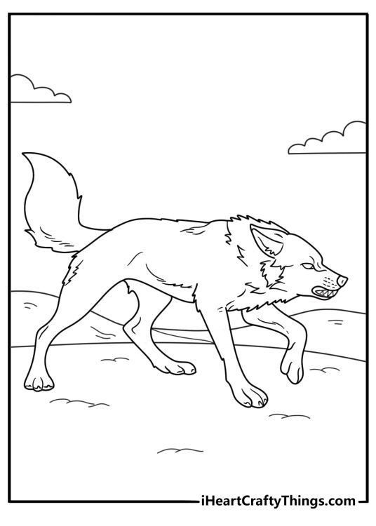 Coloring image of a wolf looking like he has spotted someone and looking carefully at the victim