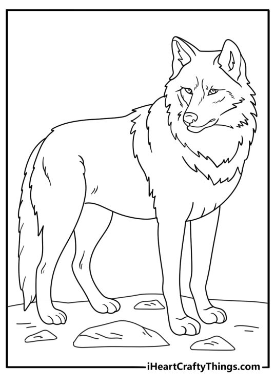 Coloring picture of a wolf presented on a top of a rock jutting out from a cliff
