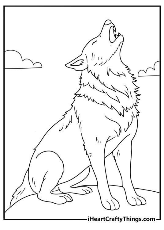 Coloring printable for adults presenting furry wolf howling while standing on a hill