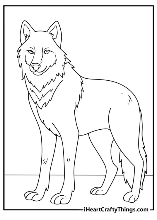 Detailed coloring pagedepicting friendly looking wolf reminding a domesticated dog