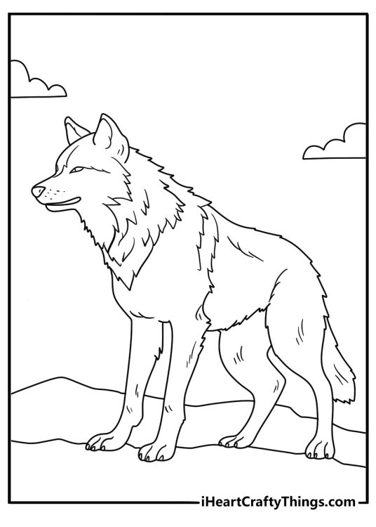 Detailed coloring sheet featuring face of a realistic wolf with thick fur pointed ears and black nose