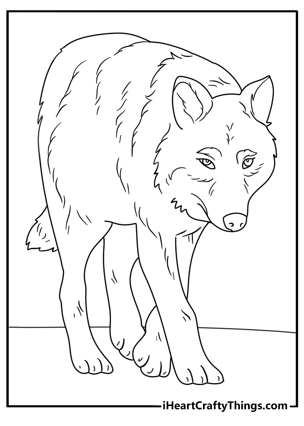 Detailed coloring sheet presenting a realistically drawn wolf proudly stepping up towards us