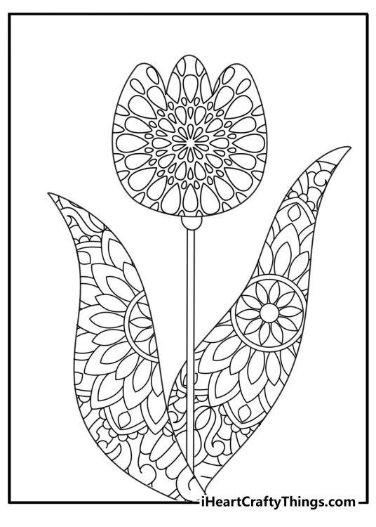 Detailed tulip mandala for adults with layered petals and patterns