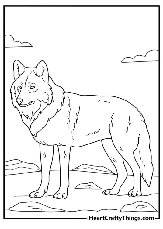 Detailed wolf coloring page with pack moving across snowy plain for adults