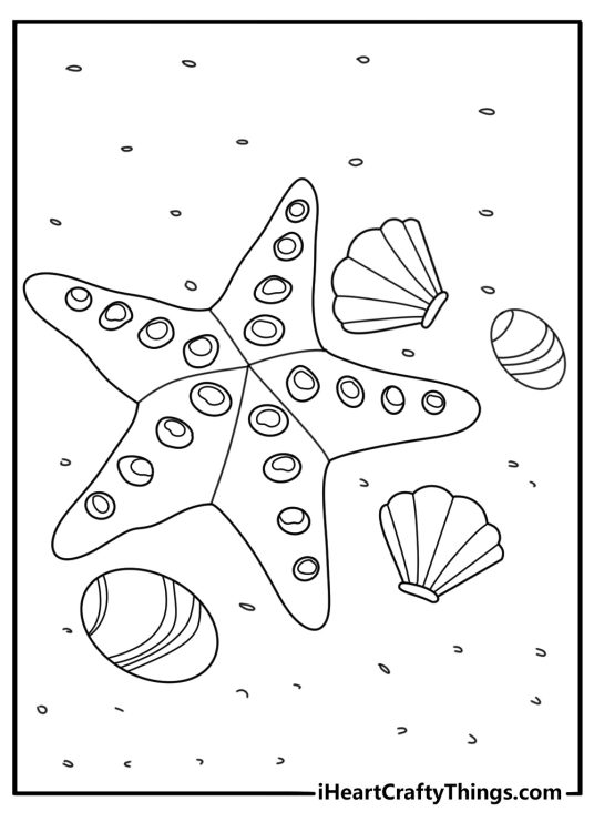 Easy star coloring page with an ocean starfish on sand and shells