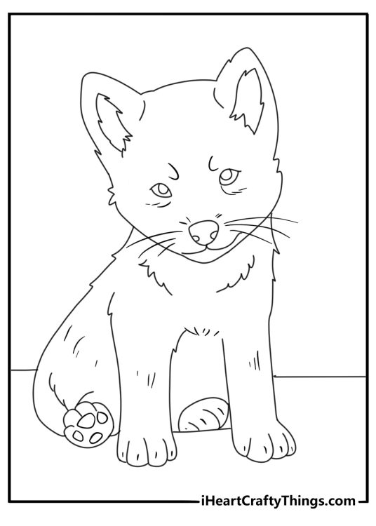 Free printable image to color of an adorable wolf pup sitting and looking straight ahead