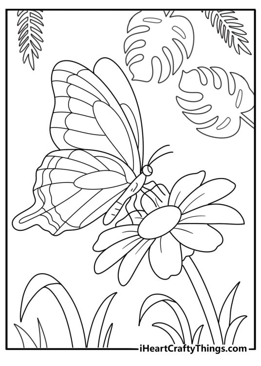 Giant butterflies over tropical flowers jungle coloring page for kids