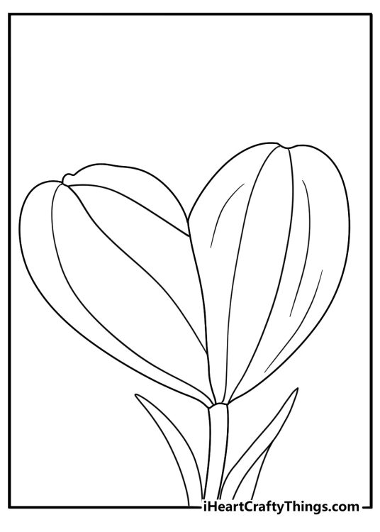 Heart shaped tulip petals cute coloring printable