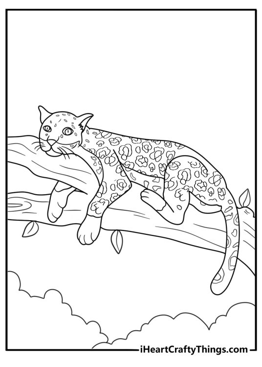 Jaguar resting on a low branch detailed jungle coloring sheet for adults