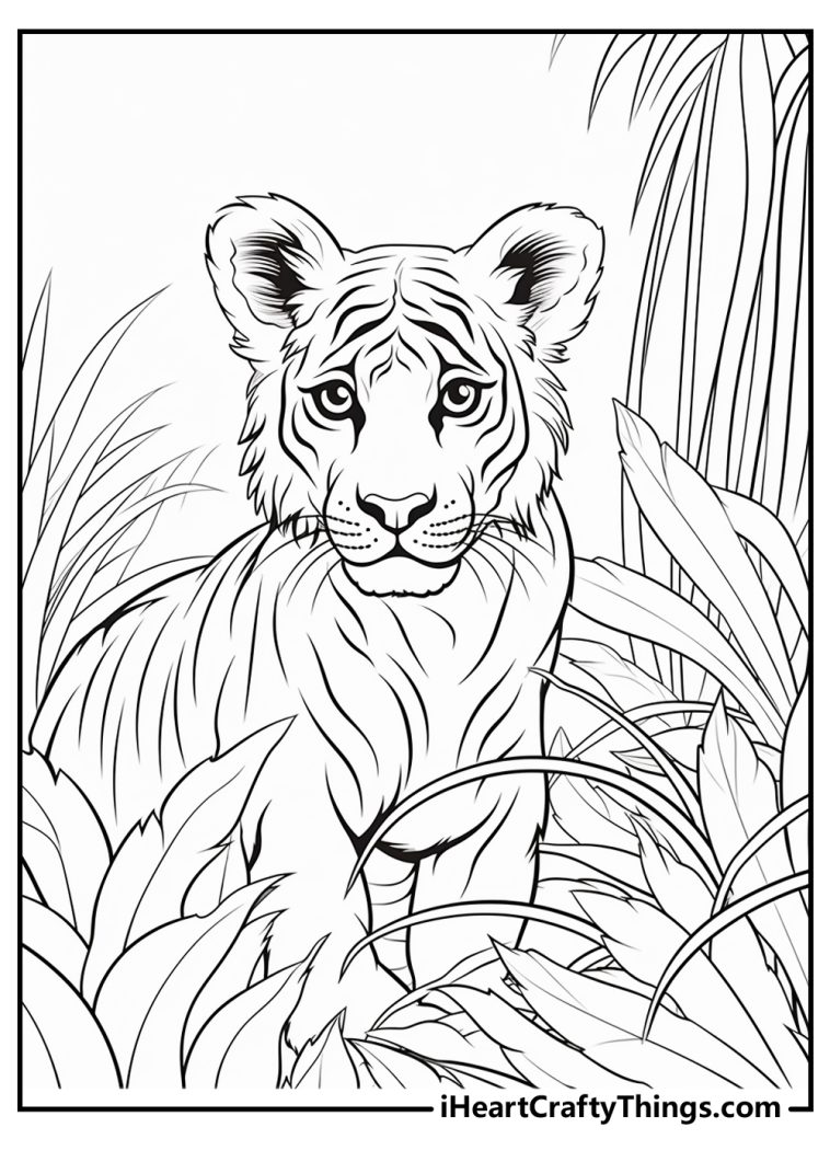 Printable Jungle Coloring Pages (Updated 2024)