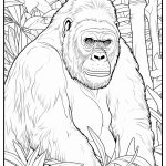 gorillas in jungle coloring pages