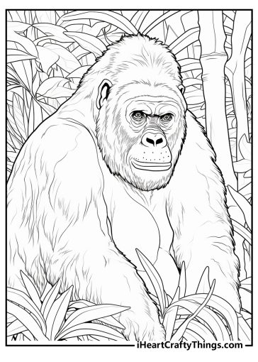 gorillas in jungle coloring pages