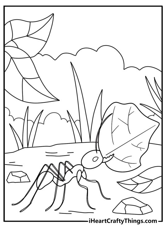 Leafcutter ants carrying leaves along a log easy jungle coloring page