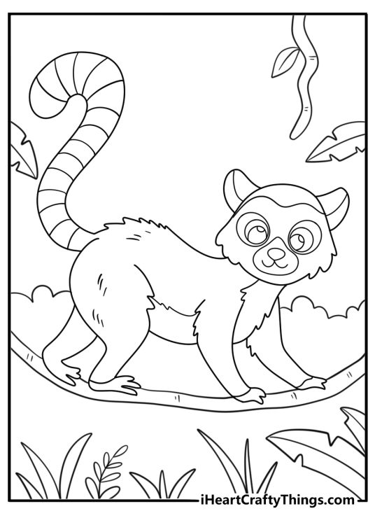 Lemur on a vine with ringed tail jungle coloring page pdf