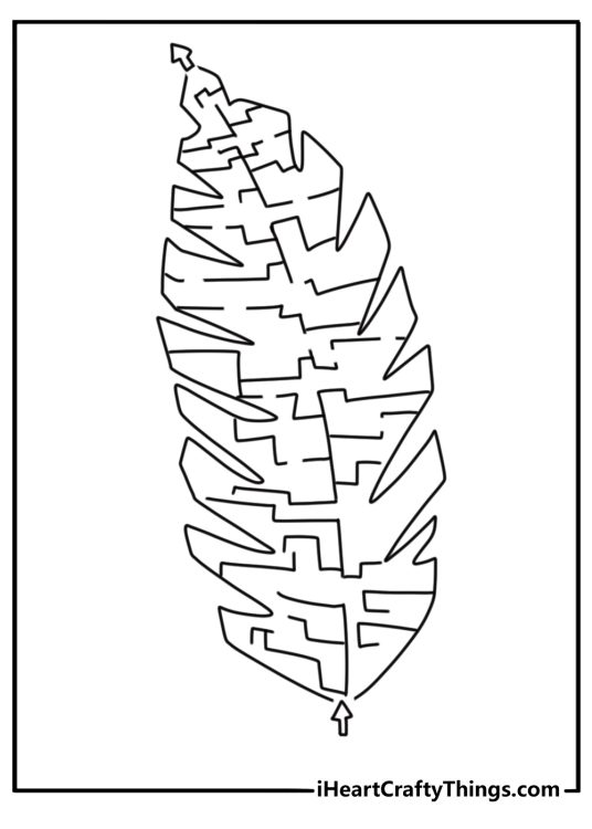 Palm leaf maze background abstract jungle coloring page for adults