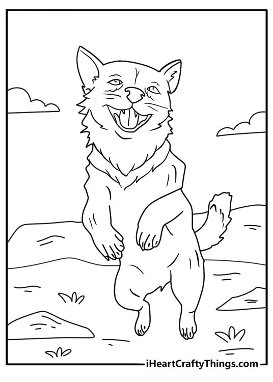 Picture featuring a wolf pup lunging forward with his tongue out and wagging his tail in the air