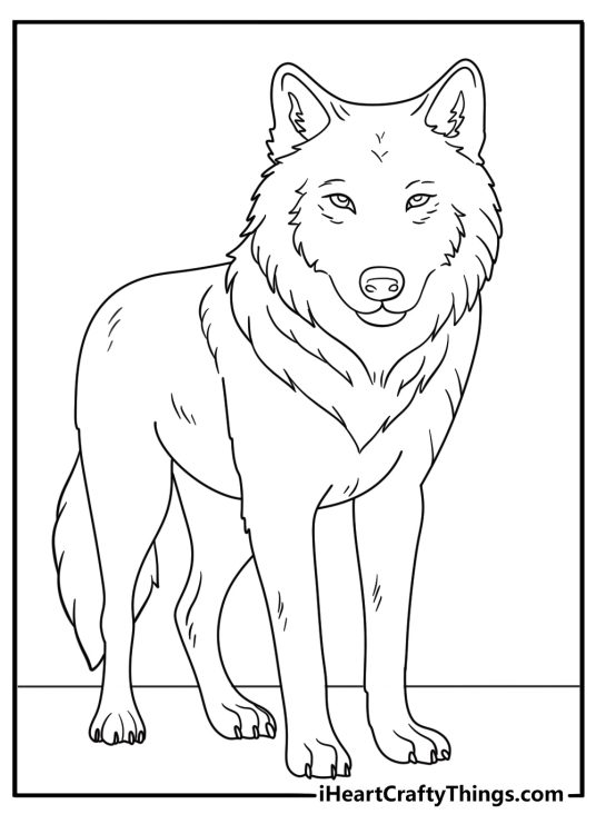 Printable black and white picture of a calmly sitting wolf with pointy ears and fluffy fur reminding a dog