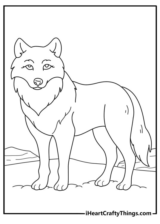 Printable image of an adult wolf with thick fur and fluffy tail posing turned to the right side
