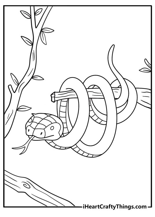 Python coiled around a tree trunk simple jungle coloring sheet
