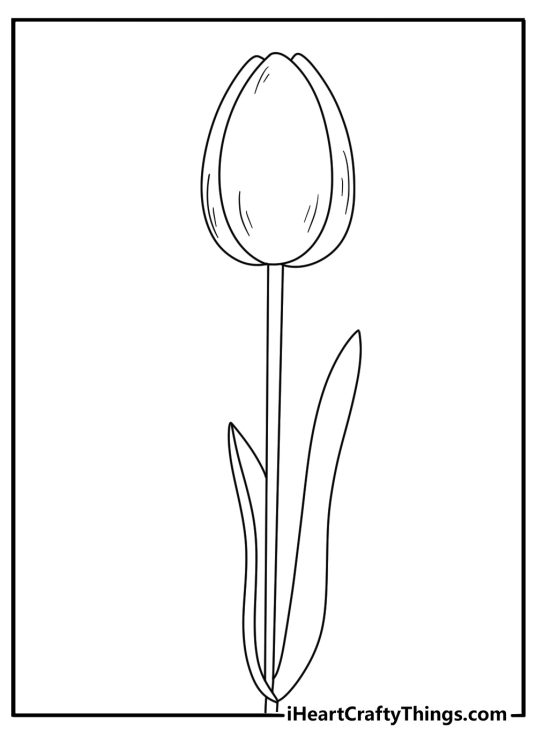 Realistic tulip bud about to bloom detailed coloring page