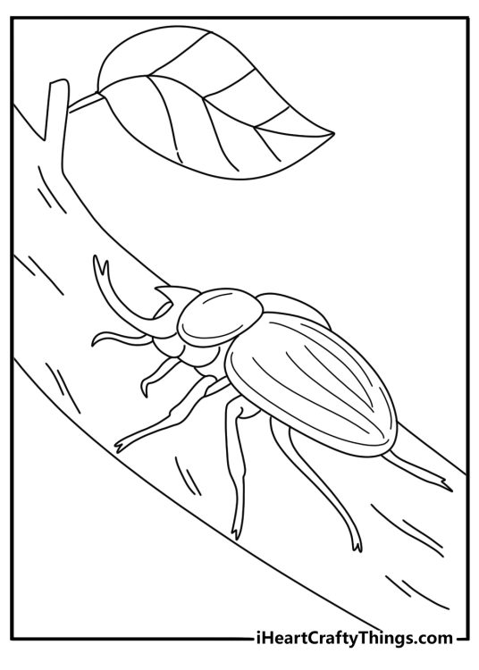 Rhinoceros beetle on a branch cute jungle coloring page to print