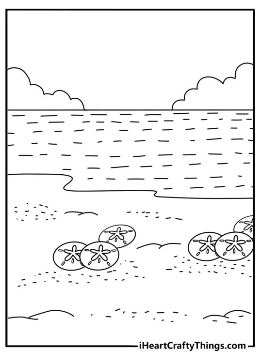 Sand dollar coloring page with a round shell on a beach
