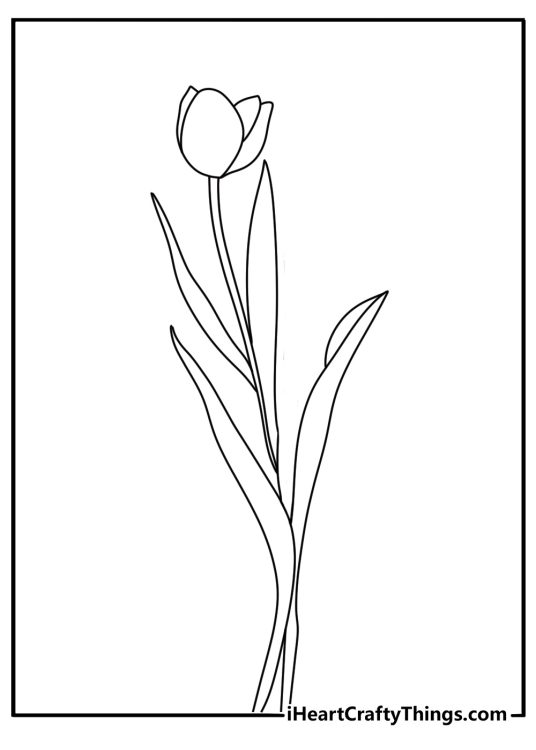 Side view tulip coloring sheet with curved stem