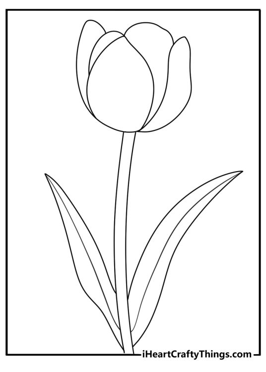 Simple tulip coloring page with one tall stem and two wide leaves
