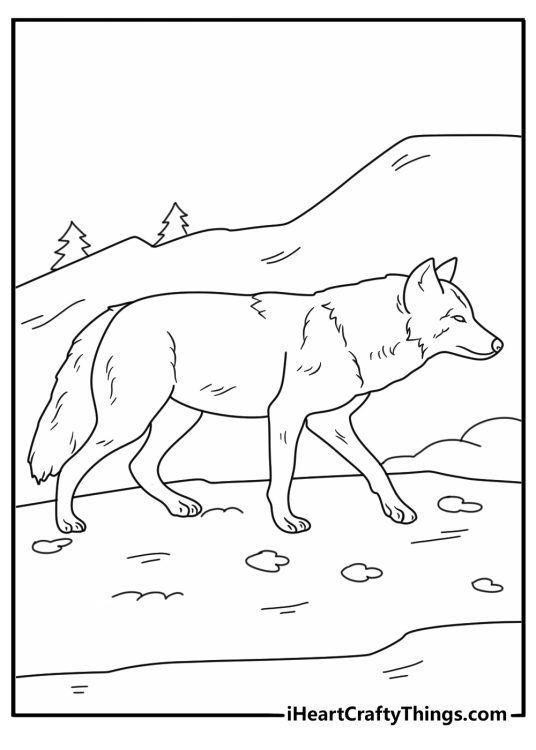 Simple wolf coloring page with animal tracks in fresh snow for kids