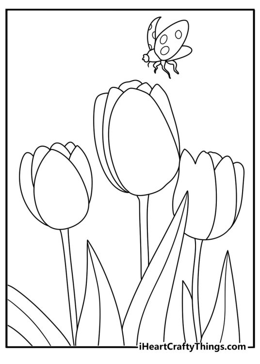 Tulip and ladybug close scene easy coloring page for kids