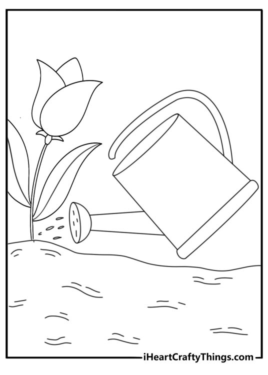Tulip coloring sheet with watering can pouring water at base