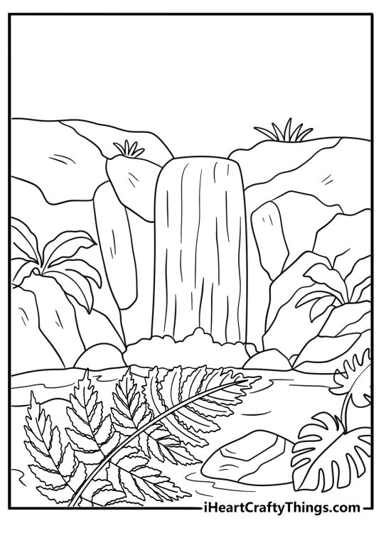 Waterfall behind tall ferns and rocks jungle coloring sheet to download