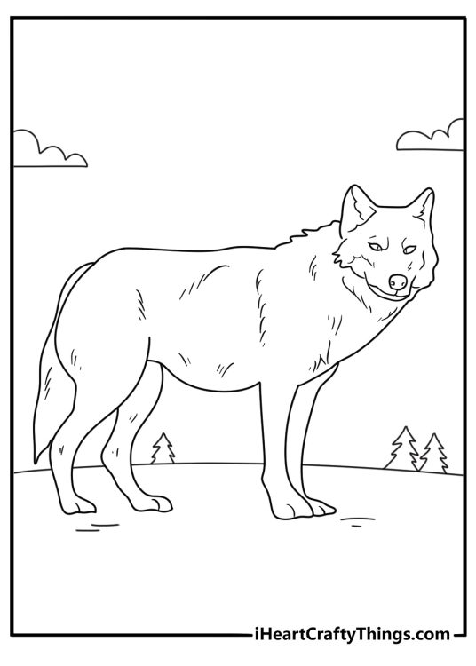 Wolf coloring page showing adult wolf walking through pine forest simple printable