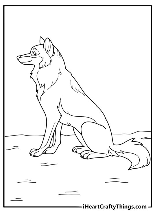 Wolf coloring pages