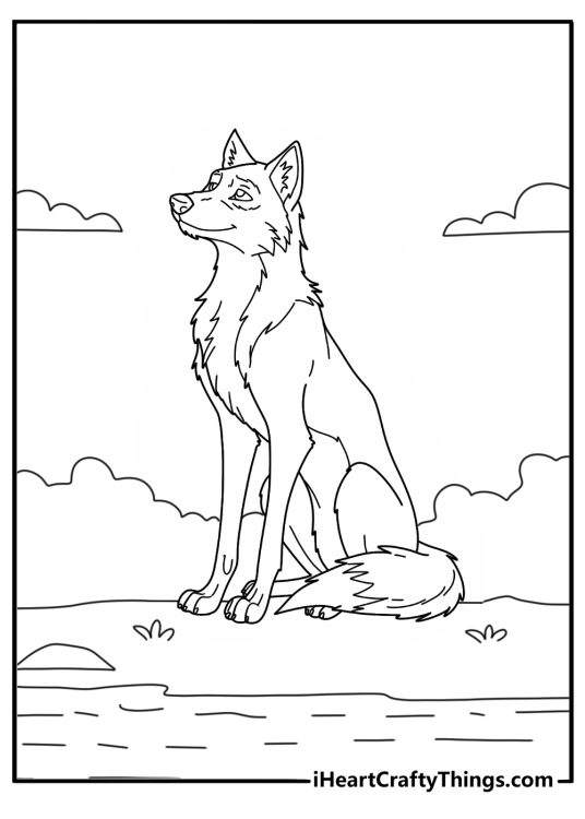 Wolf coloring sheet featuring lone wolf resting near river bank